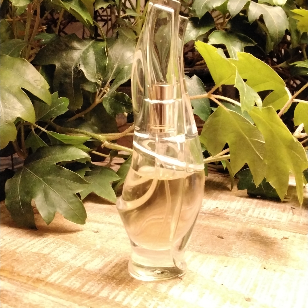 Donna Karen Cashmere Mist